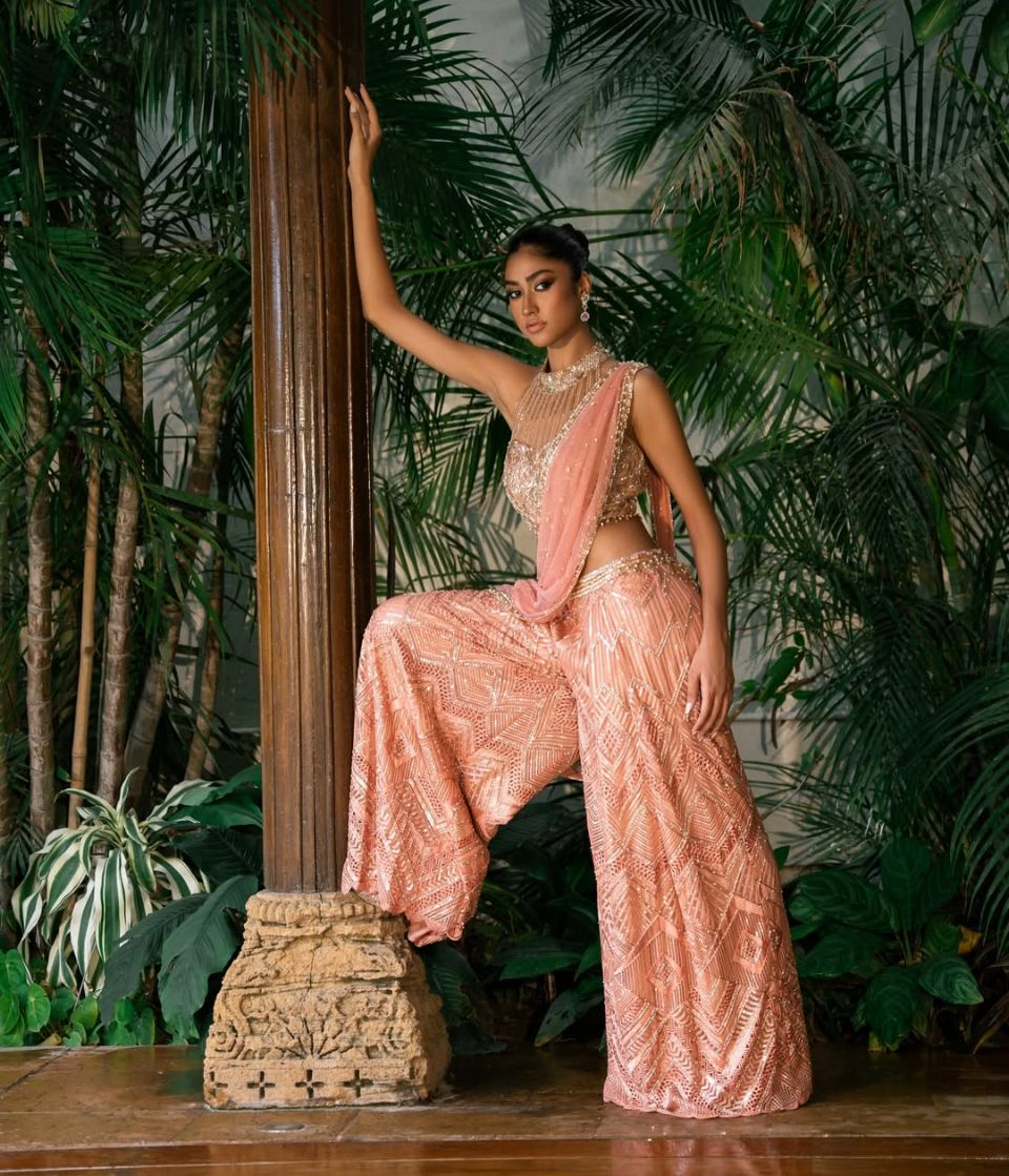 Salmon Cutwork Pant Saree