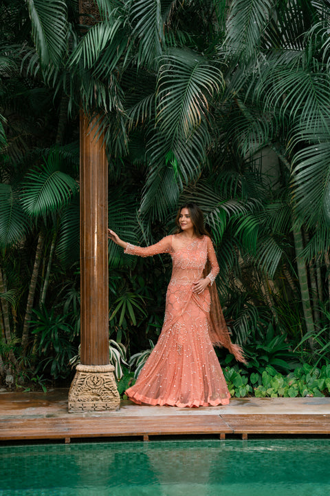 Salmon Pearl Saree