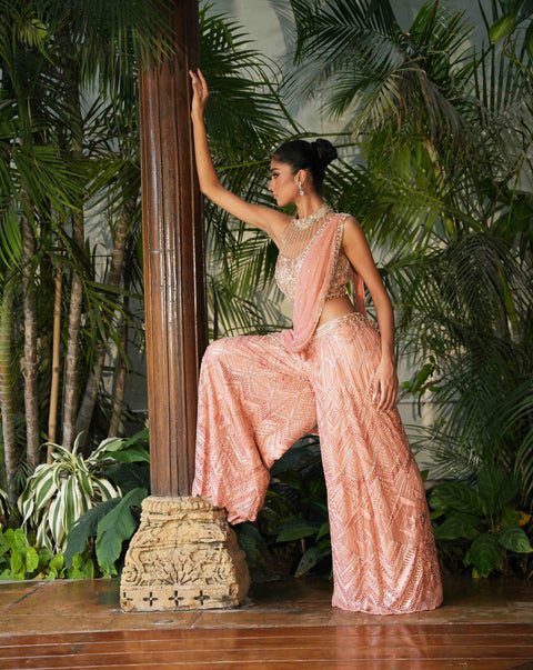 Salmon Cutwork Pant Saree